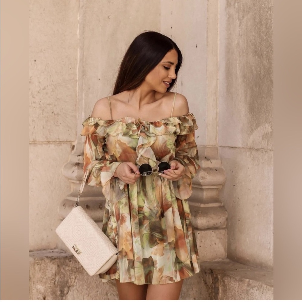 ❌SOLD❌ ZARA Ruffle Printed Tulle Dress - Picture 1 of 9